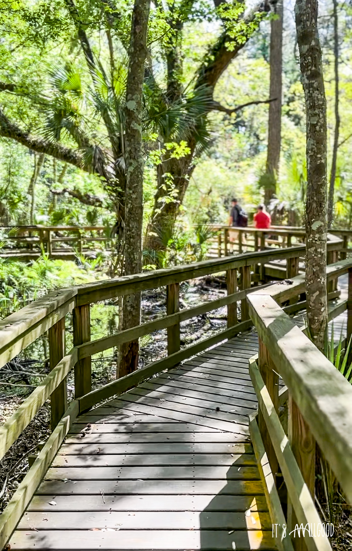 Four Coastal Trails worth a visit in Hilton Head, SC It's AAAllgood